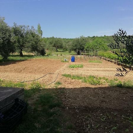 סקארדין Apartmani Sladic מראה חיצוני תמונה