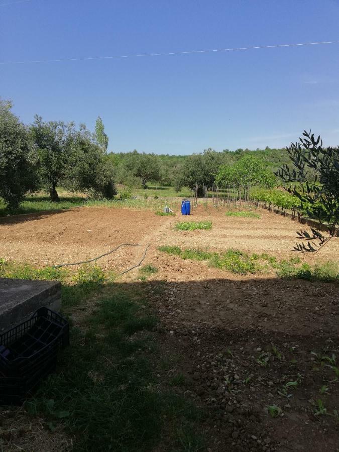 סקארדין Apartmani Sladic מראה חיצוני תמונה